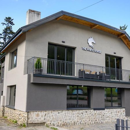 The White Horse Apartments ボロヴェッツ エクステリア 写真