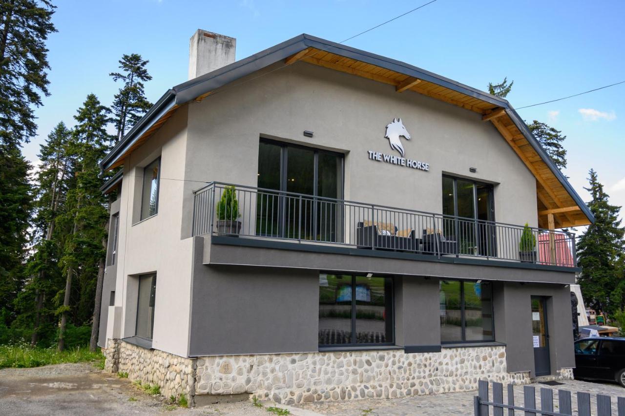 The White Horse Apartments ボロヴェッツ エクステリア 写真