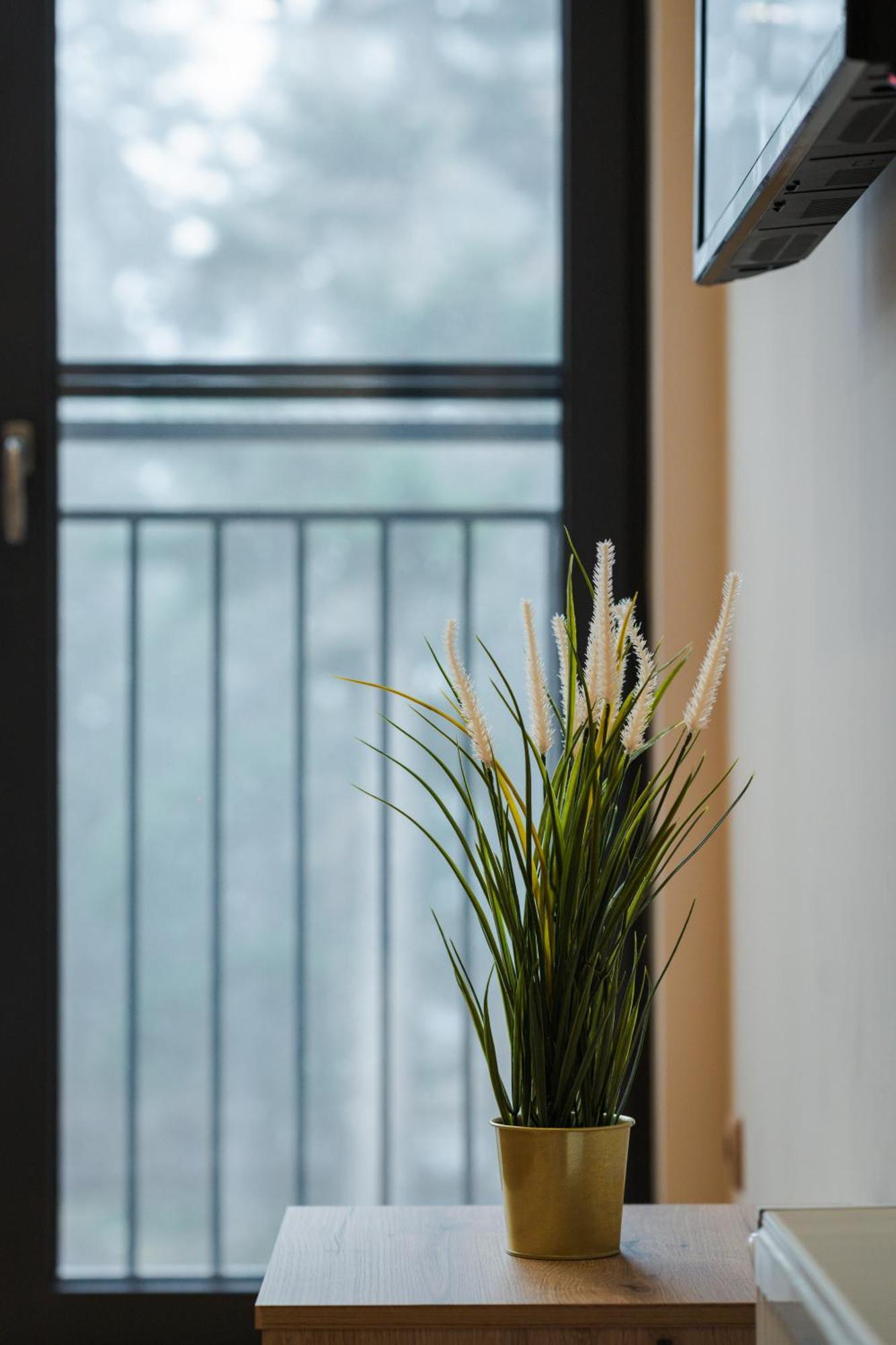 The White Horse Apartments ボロヴェッツ エクステリア 写真